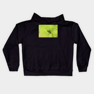 Jukebox Hero Kids Hoodie